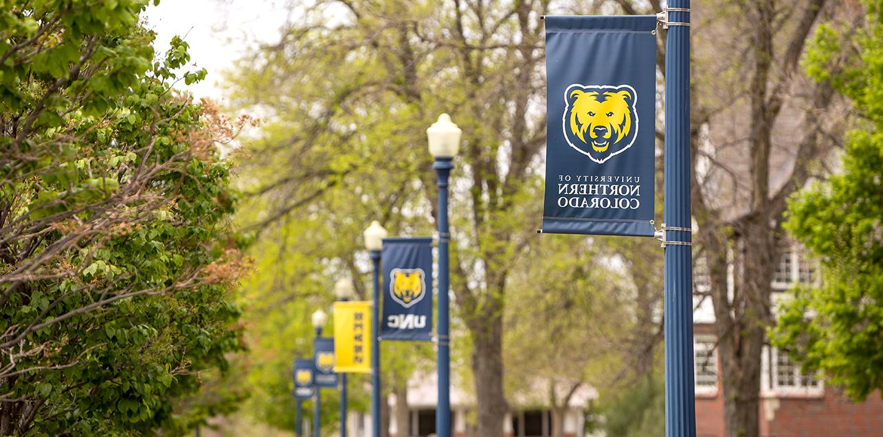 一排蓝色和金色的横幅挂在户外的灯杆上，上面有北卡大学的名字和熊的标志.